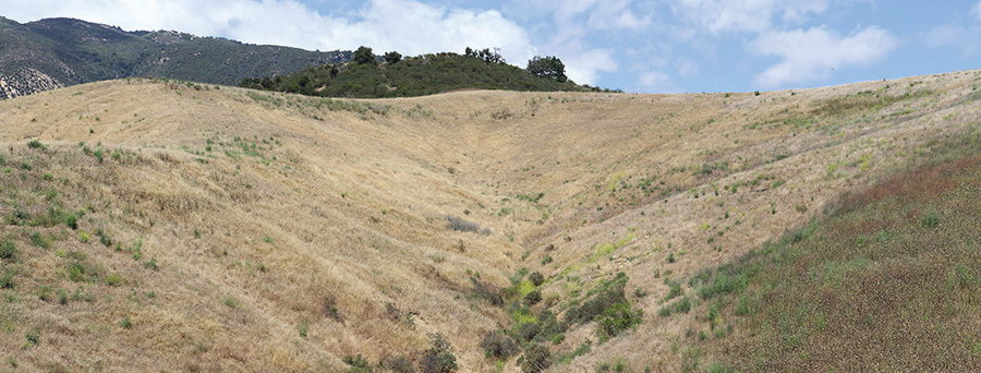 Preparing for Dry Days Ahead Goleta Foothills Photo 